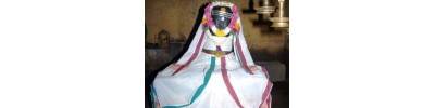 திருப்புடைமருதூர்